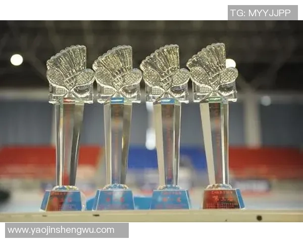 西安羽毛球队进攻策略分析与比赛表现评估探讨